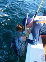 Bald Head Islands Giant Bluefin Tuna
